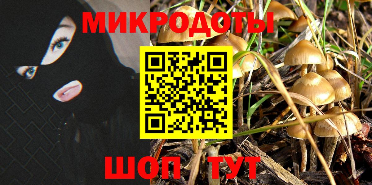 Карталы  Псилоцибиновые грибы Cubensis  Вход с VPN 