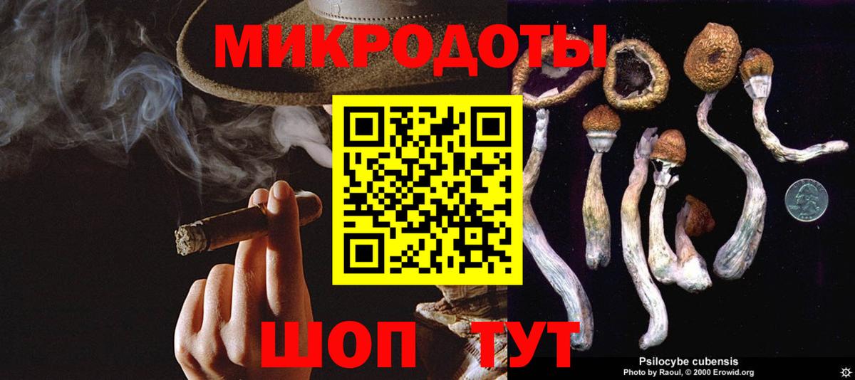 Галлюциногенные грибы прущие грибы Карталы