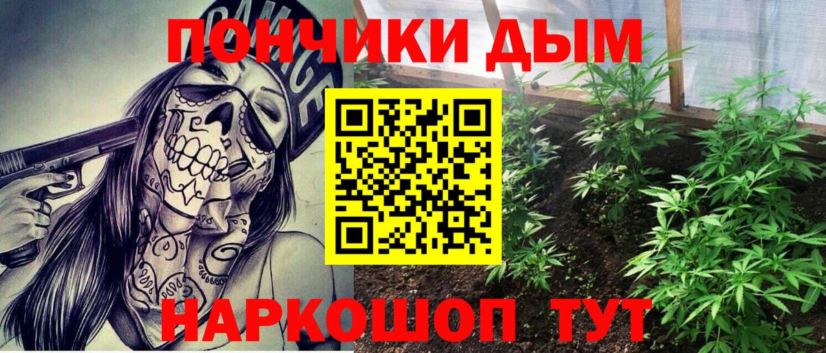 Бошки марихуана сатива Карталы